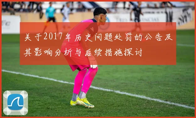 关于2017年历史问题处罚的公告及其影响分析与后续措施探讨