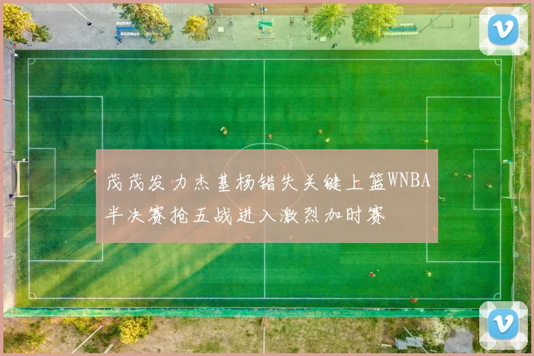 茂茂发力杰基杨错失关键上篮WNBA半决赛抢五战进入激烈加时赛