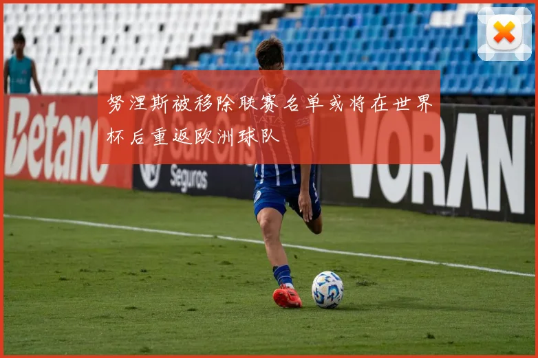 努涅斯被移除联赛名单或将在世界杯后重返欧洲球队